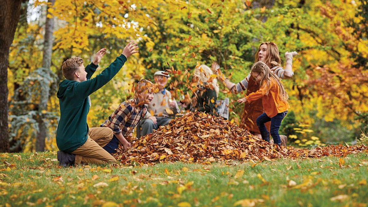 Article Cards Featured Image fall leaves kids in leaves x