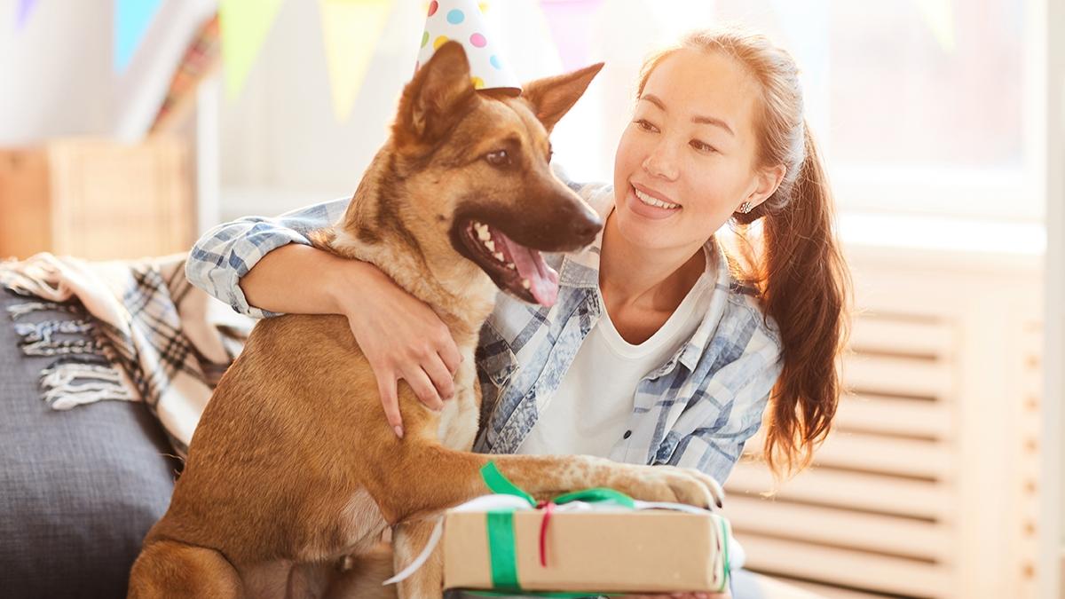 Portrait of Asian woman giving present to gog on Birthday, copy space