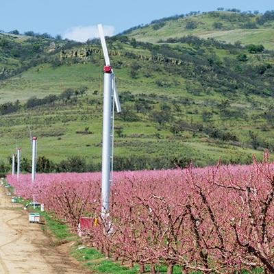 Fans circulate warm air from the soil across the orchards