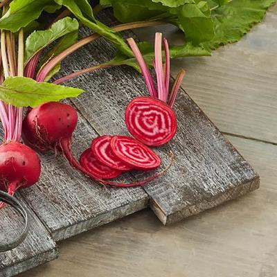 candy cane beets guide