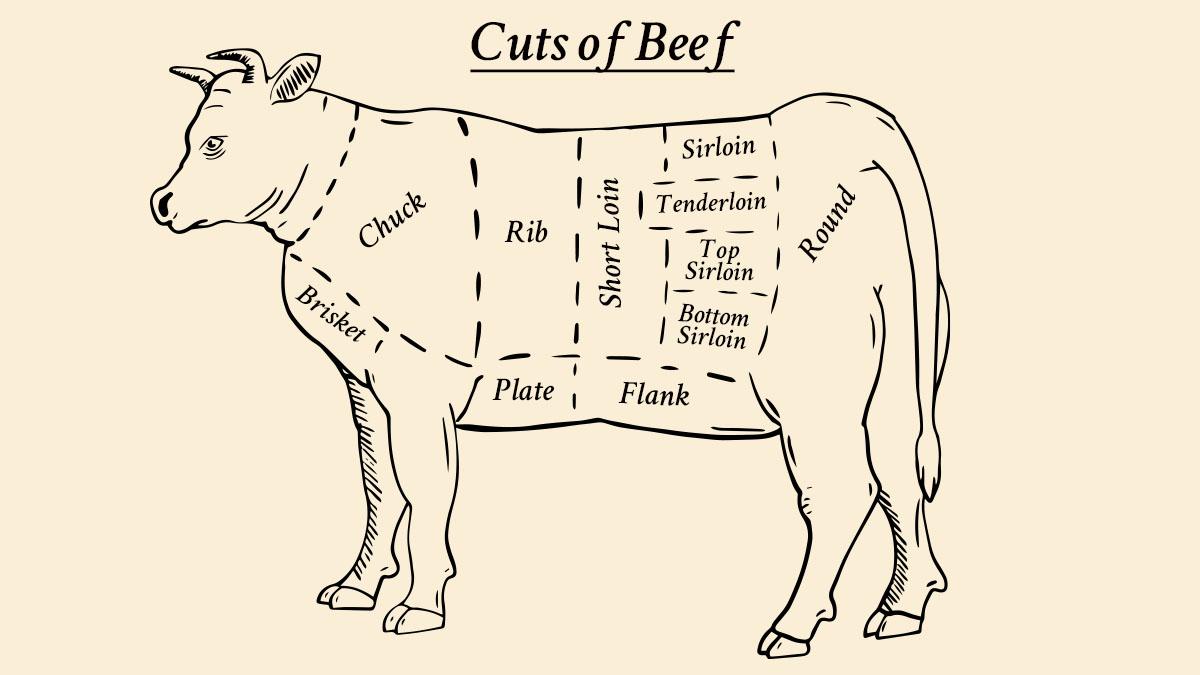 Article Cards Featured Image Diagram of Cuts of beef illustrated on an outline of a cow