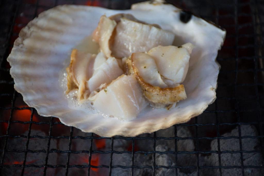 Bucket list. Scallops laid out on a seashell.