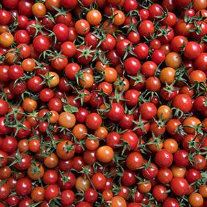 Multi colored cherry tomatoes.